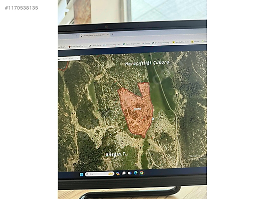 YAYLADAĞI OLGUNLAR DA TEK TAPU 63 DÖNÜM Hatay / Yayladağı / Olgunlar Mh. - HATAY YAYLADAĞI fotoğraf 4