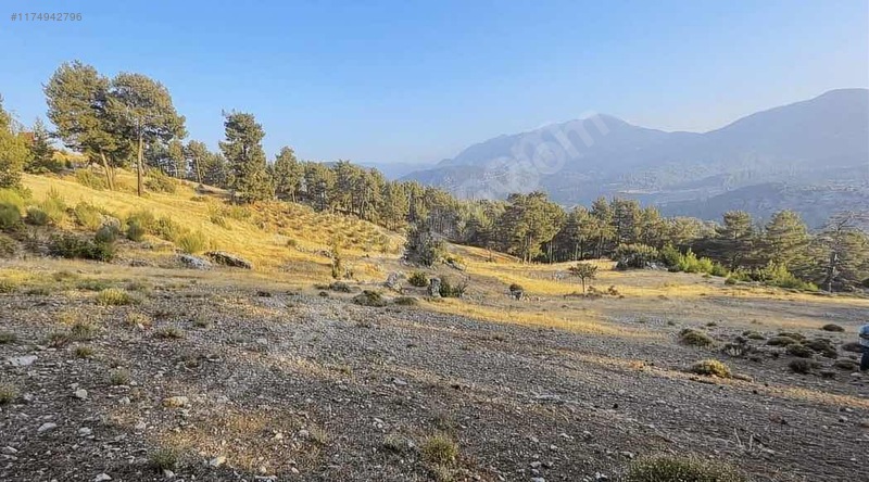 Antalya / Kaş / Çamlıköy Mahallesinde 1.257 m² SATILIK ARSA  - ANTALYA KAŞ fotoğraf 2