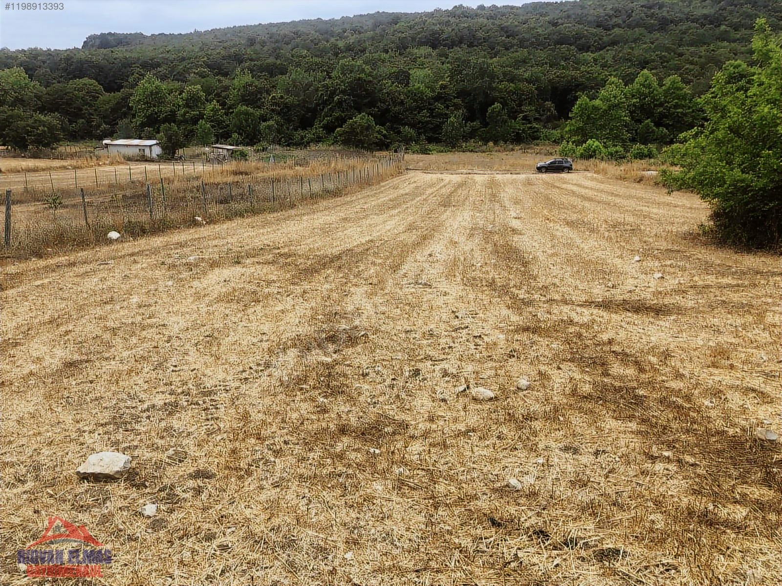 Kandıra Sarnıçlar köyünde doğa içinde satılık arazi - KOCAELİ KANDIRA fotoğraf 6