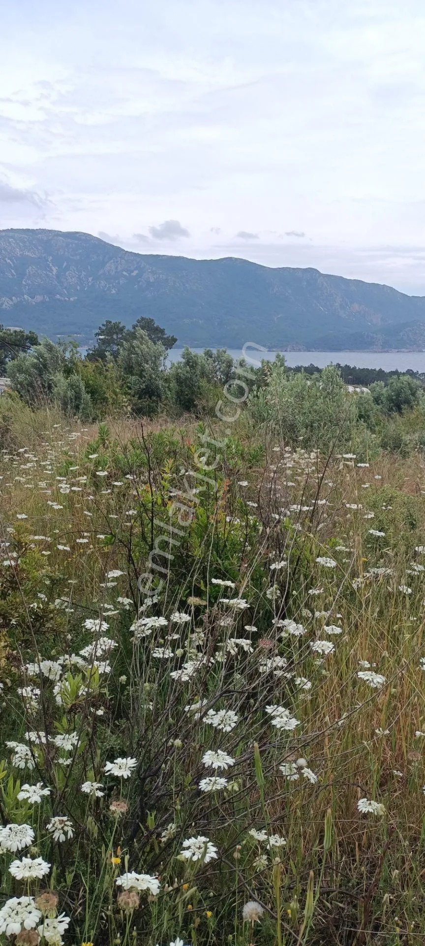 Kumluca Yenicepınar Da Deniz Manzaralı Satılık Arsa-tarla - ANTALYA KUMLUCA fotoğraf 15