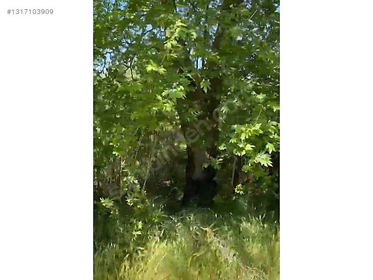 ÇANAKKALE BAYRAMİÇ SERHAT KÖYÜ 526 m2 % 80 İMARLI ARSA - ÇANAKKALE BAYRAMİÇ fotoğraf 25