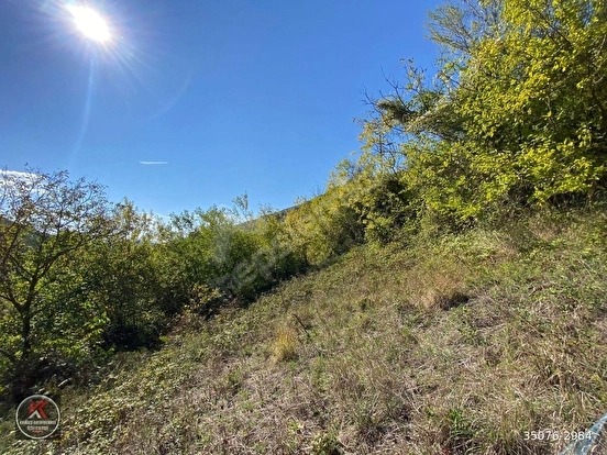 KARAMÜRSEL SENAİYEDE 999 M² KÖY İÇİ İMARLI SATILIK ARSA FIRSATI - KOCAELİ KARAMÜRSEL fotoğraf 6