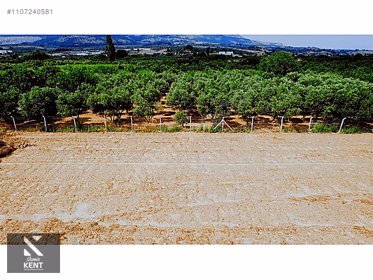 Kemalpaşa Aşağıkızılca Satılık Bahçe 1.200 m2 Tek Tapu - İZMİR KEMALPAŞA fotoğraf 33