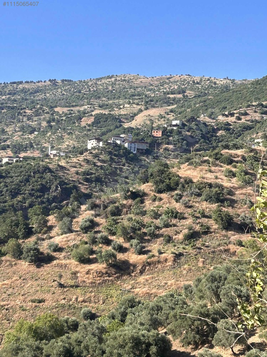 AYDIN NAZİLLİ AŞAĞIÖRENCİK   KÖYÜNDE 2.818  M² BAHÇE  SATILIKTIR - AYDIN NAZİLLİ fotoğraf 3