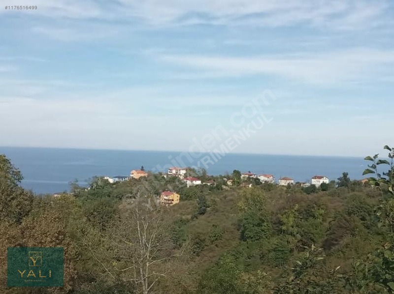 YALI GAYRİMENKUL | BURUNUCU/TALİPLİ'DE SATILIK 4'DÖNÜM ARSA - GİRESUN BULANCAK fotoğraf 10