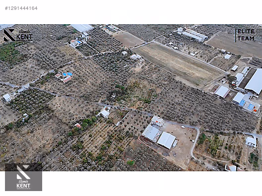 Kemalpaşa Çınar Satılık 8.507 m2 Bahçe - İZMİR KEMALPAŞA fotoğraf 14
