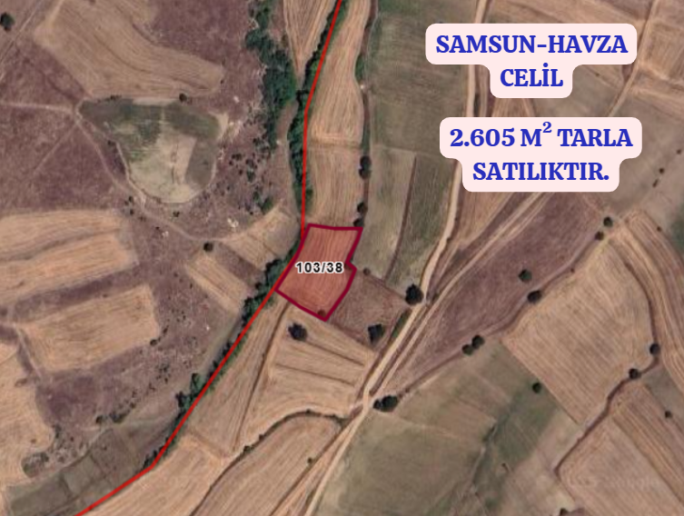 SAMSUN HAVZA CELİL   KÖYÜNDE 2.605  M² TARLA  SATILIKTIR - SAMSUN HAVZA fotoğraf 2