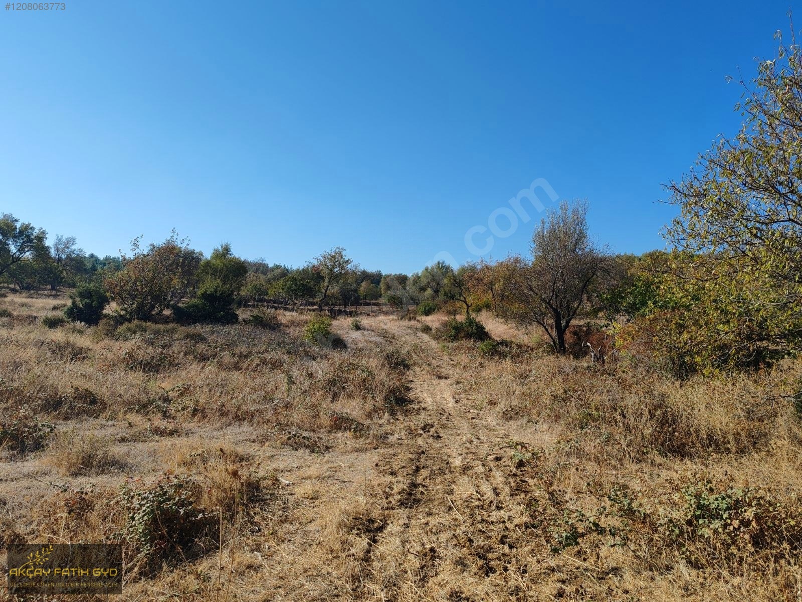 HAVRAN FAZLICA da 3,65 DÖNÜM SATILIK FIRSAT TARLA - BALIKESİR HAVRAN fotoğraf 30