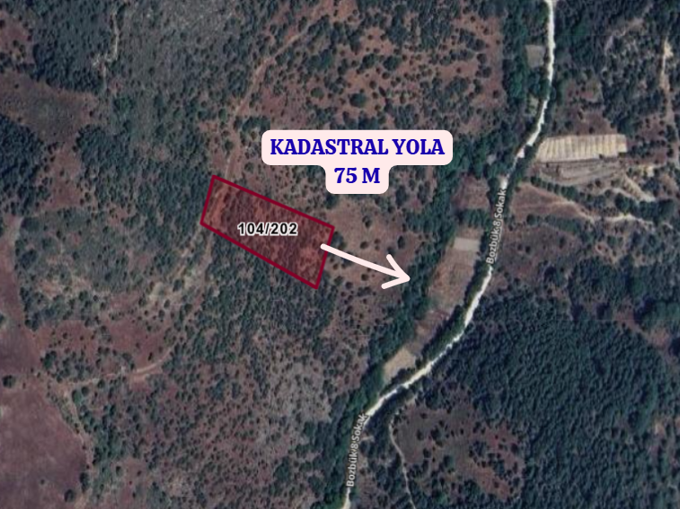 BALIKESİR BİGADİÇ BOZBÜK  KÖYÜNDE  4.916 M²  TARLA  SATILIKTIR - BALIKESİR BİGADİÇ fotoğraf 3