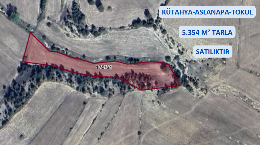 KÜTAHYA ASLANAPA TOKUL KÖYÜNDE 5.354 M² TARLAMIZ SATILIKTIR. - KÜTAHYA ASLANAPA fotoğraf 2