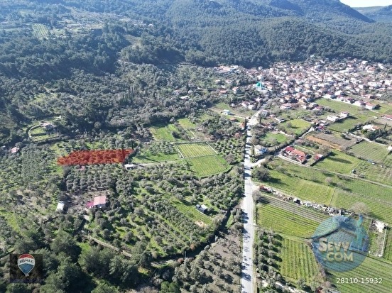 Kuşadası Kirazlıda fırsat bahçe - AYDIN KUŞADASI fotoğraf 14