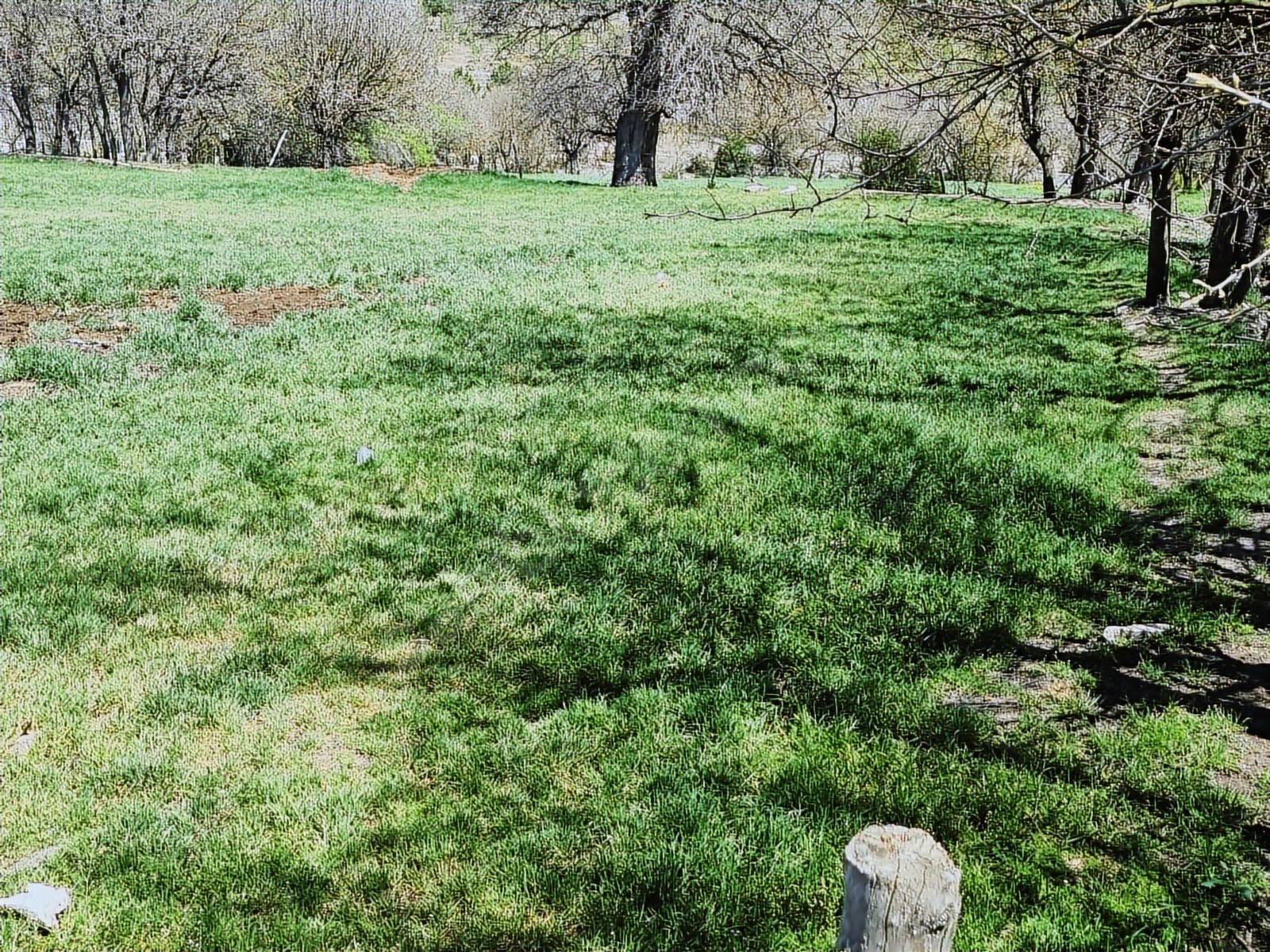 Cadde Emlaktan Yazıköy de Satılık 837m² Tarla - KARABÜK SAFRANBOLU fotoğraf 9