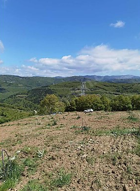 BURSA İZNİK TACİR KÖYÜNDE 13.056 M TARLA SATILIKTIR - BURSA İZNİK fotoğraf 14