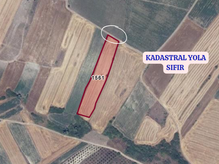 BURSA KARACABEY TOPHİSAR  KÖYÜNDE 6.000 M² TARLA SATILIKTIR - BURSA KARACABEY fotoğraf 3