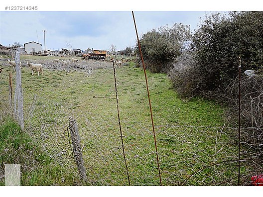 ÇANAKKALE BAYRAMİÇ TEPECİK MAH 258 m2 ARSA - ÇANAKKALE BAYRAMİÇ fotoğraf 13