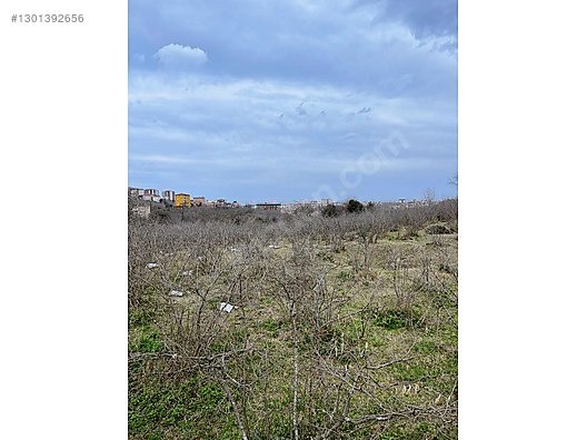 ESPİYE ÇAM MAHHALLESİ AYRIK NİZAM 7 KAT İMARLI FIRSAT ARSALAR - GİRESUN ESPİYE fotoğraf 13
