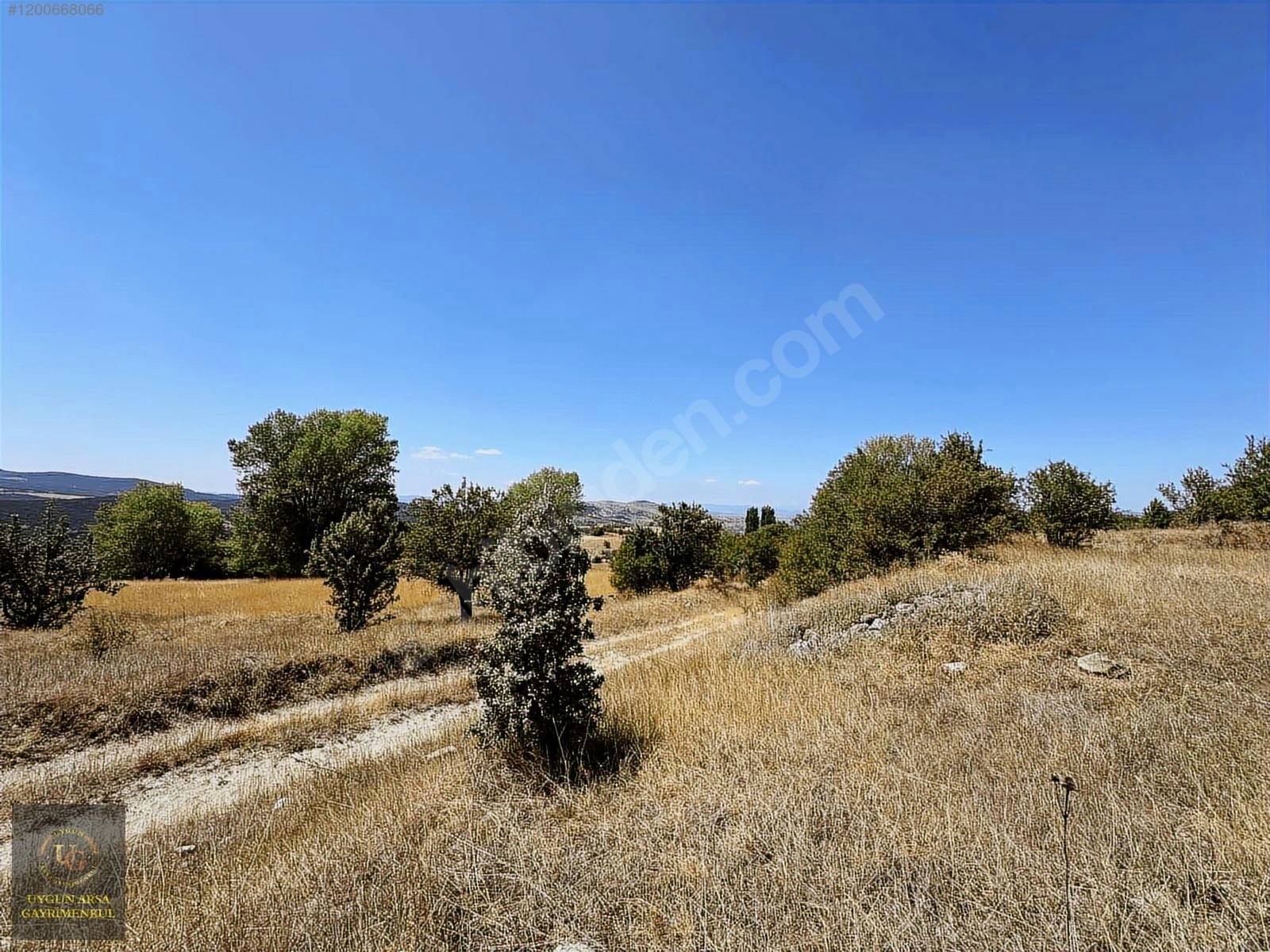 BOLU KIBRISCIK SARIKAYA'DA 8.370 M2 UYGUN ARSA - BOLU KIBRISCIK fotoğraf 5