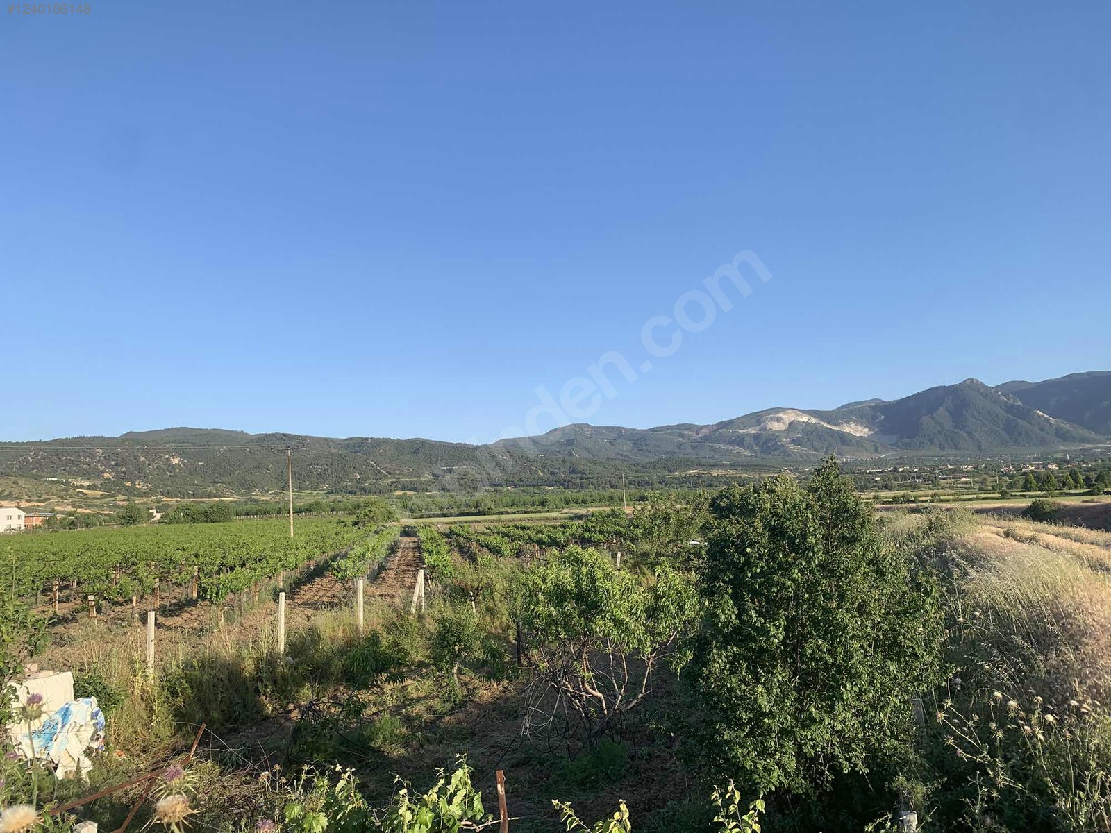 DENİZLİ HONAZ KOCABAŞ MAHALLESİNDE  688 M² TARLA  SATILIKTIR - DENİZLİ HONAZ fotoğraf 12