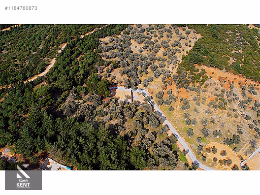 Kemalpaşa Sütçüler Satılık 873 m2 Zeytinlik - İZMİR KEMALPAŞA fotoğraf 40