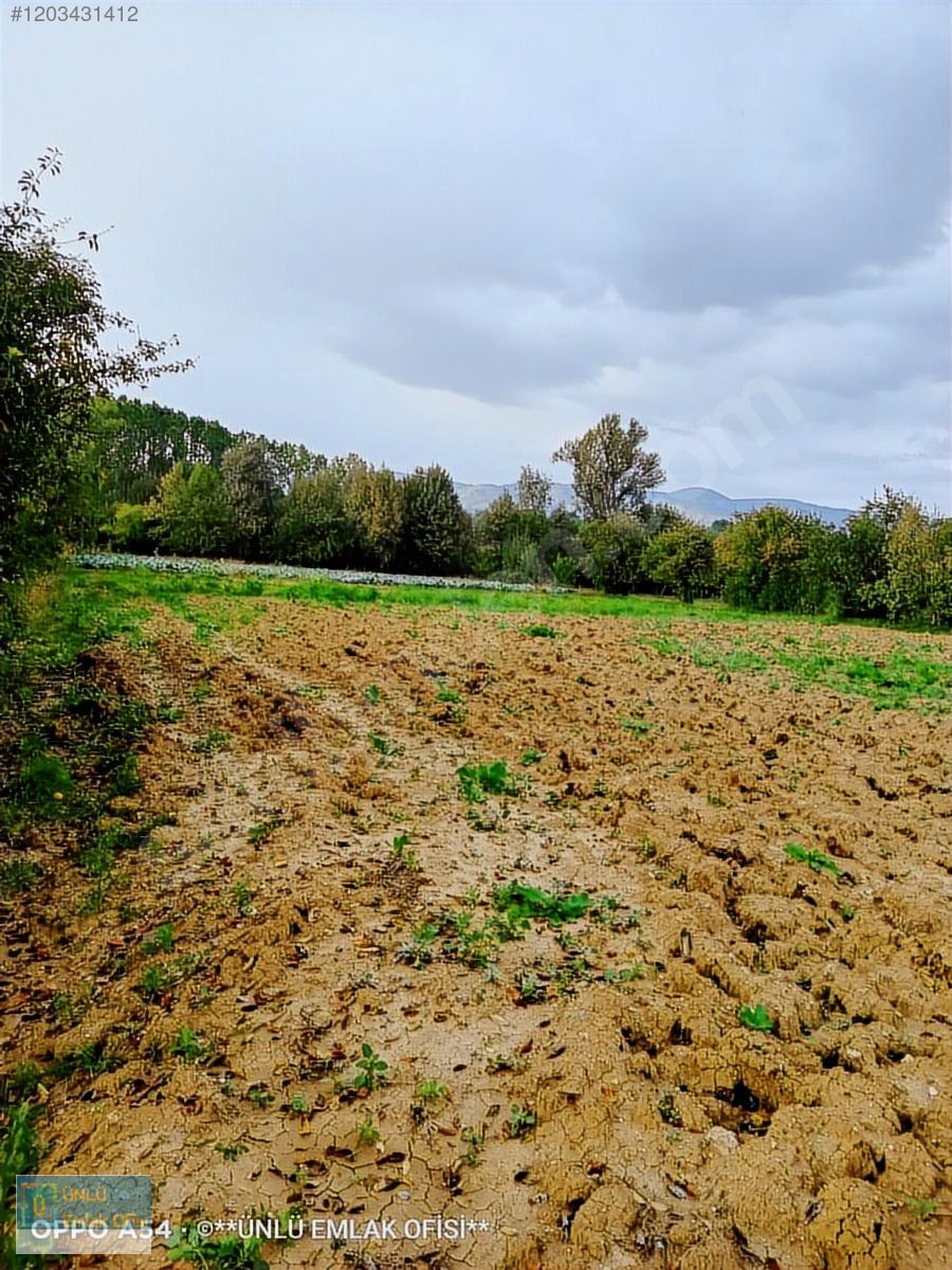 ÜNLÜ EMLAKTAN ESKİ TAŞKÖPRÜ YOLUNDA 6PARSEL YAPILABİLİR FIRSAT - KASTAMONU MERKEZ fotoğraf 32
