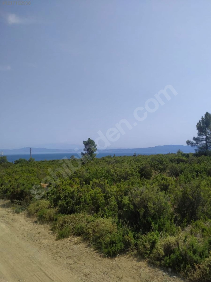 YALOVA ARMUTLU KARŞIYAKA  348  M² TARLAMIZ SATILIKTIR - YALOVA ARMUTLU fotoğraf 10