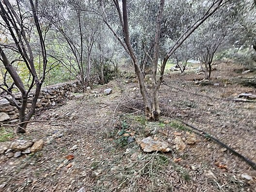 MUHTESEM LOKASYON 258M2 SUPER YATİRİM DUNYA GÖZBEBEĞİ VİLLA ARSA - MUĞLA FETHİYE fotoğraf 20