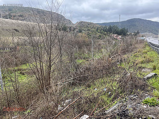 DUBLE YOL KENARI SATILIK ARAZİ - BİLECİK MERKEZ fotoğraf 3