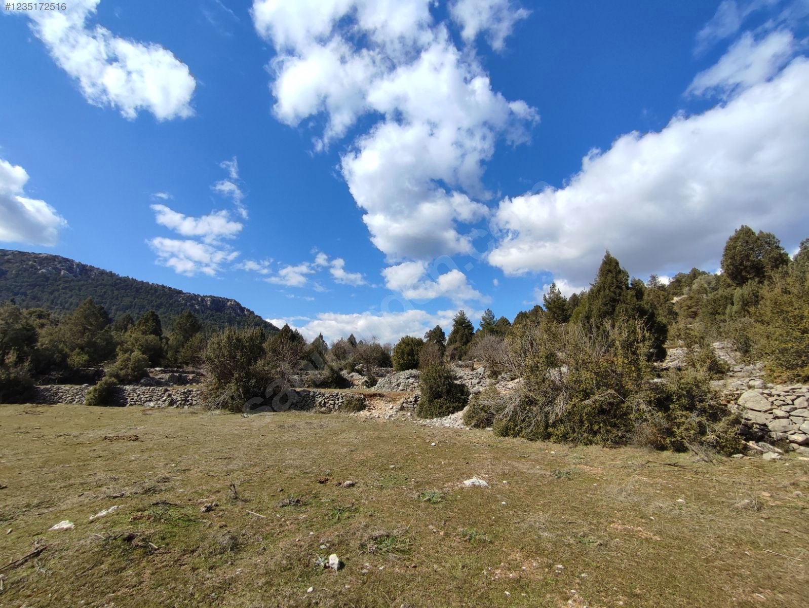 Antalya / Akseki / Alaçeşme Mhahallesinde 1.811 m² SATILIK ARSA  - ANTALYA AKSEKİ fotoğraf 8