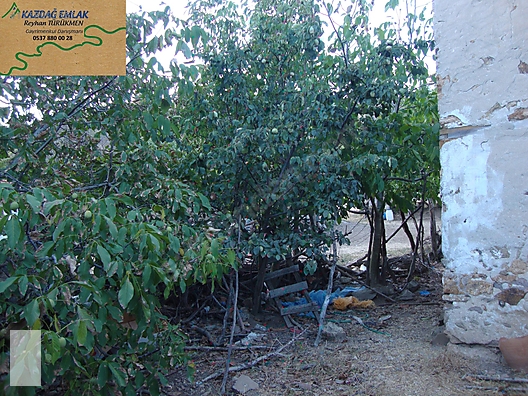 ÇANAKKALE BAYRAMİÇ KAYKILAR KÖYÜ 414 m2 ARSA KARGİR EV - ÇANAKKALE BAYRAMİÇ fotoğraf 5
