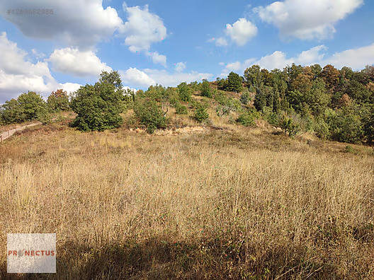 ÇAMDİBİ BOZKURT MAHALLESİ'NDE 2511 M2 SATILIK ARSA. - KOCAELİ KARAMÜRSEL fotoğraf 9