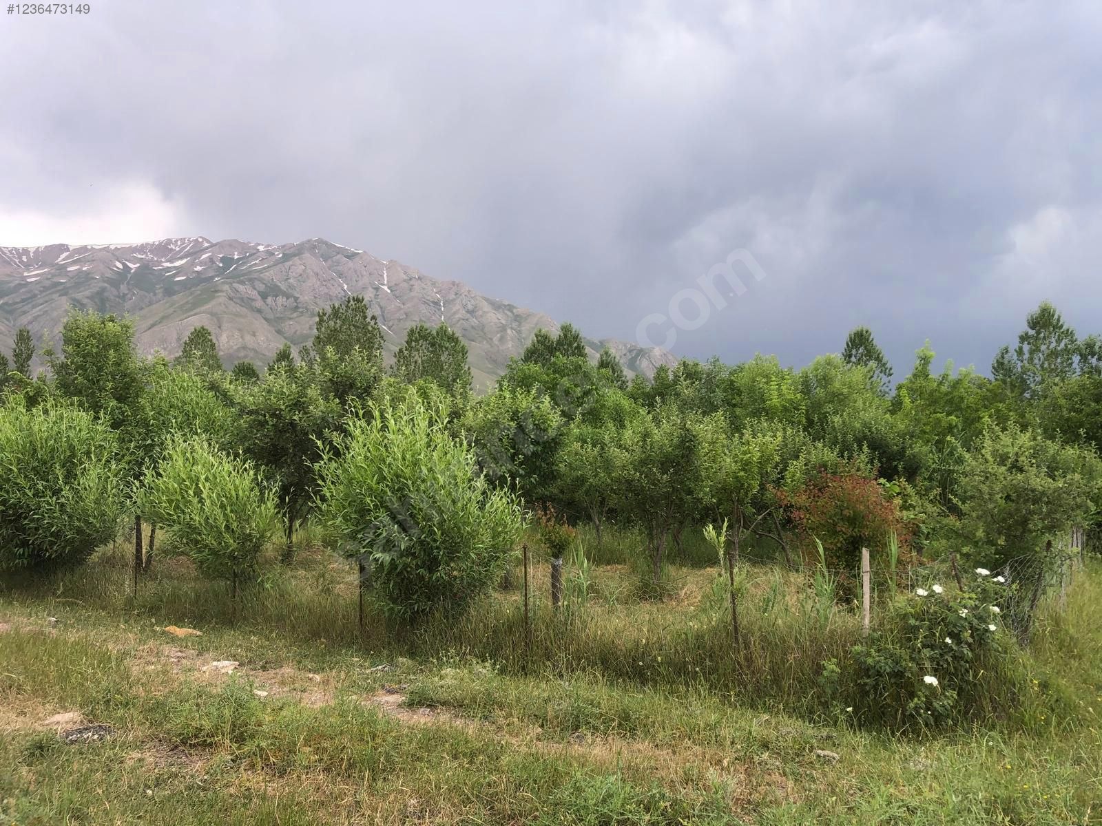 VAN GEVAŞ BAHÇELİEVLER  KÖYÜNDE 556 M² ARSAMIZ SATILIKTIR. - VAN GEVAŞ fotoğraf 3