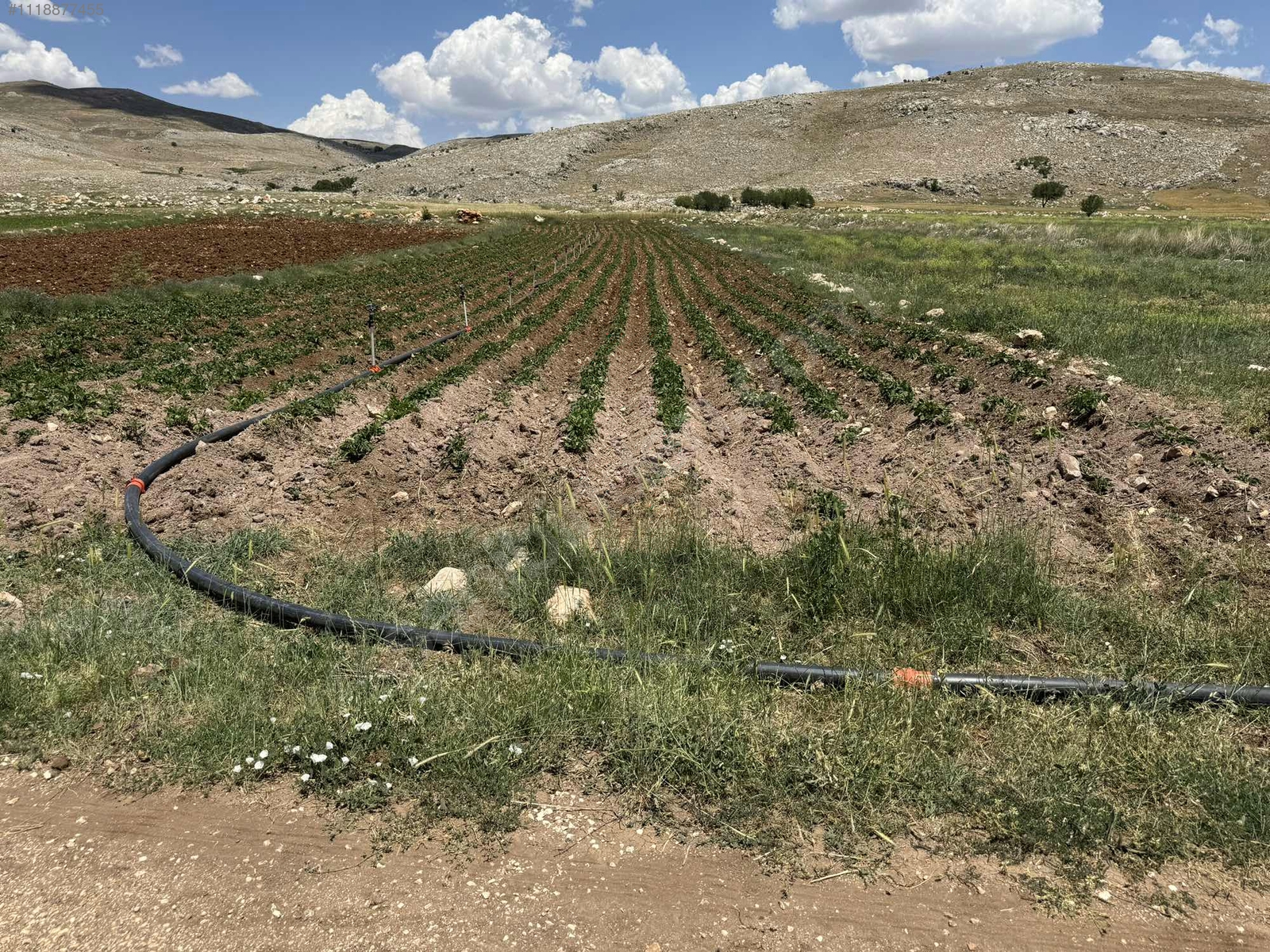 Antalya / Korkuteli / Kırkpınar Mahallesinde 1.761 m² SATILIK ARSA  - ANTALYA KORKUTELİ fotoğraf 3