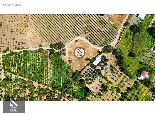 Kemalpaşa Yukarıkızılca Satılık 408 m2 Bahçe - İZMİR KEMALPAŞA fotoğraf 35