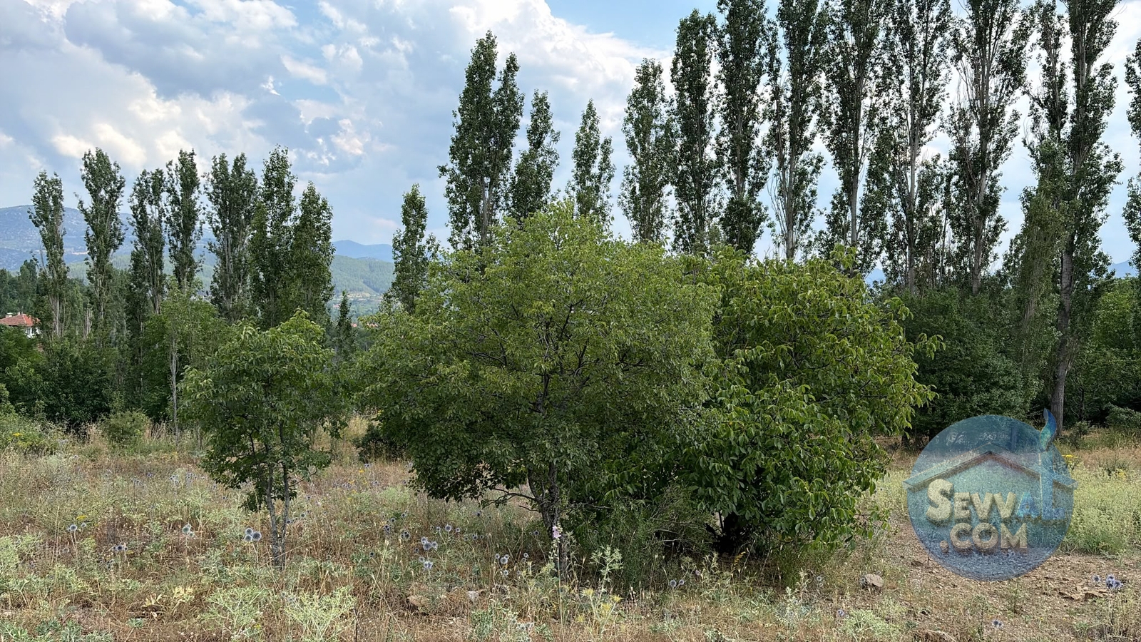 AĞLASUN KIRAÇ MAHALLESİNDE SATILIK FIRSAT ARAZİ - Burdur Ağlasun fotoğraf 16