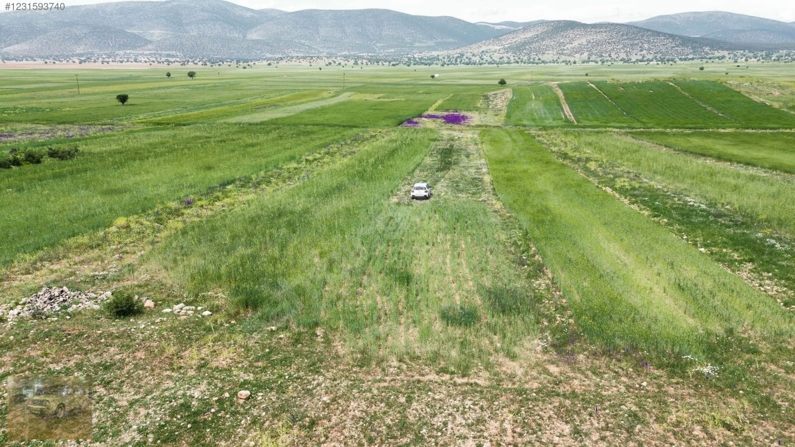 acil satilik!Yazıra datköye komşu imecikte;669m tek tapu yerimiz - ANTALYA KORKUTELİ fotoğraf 7