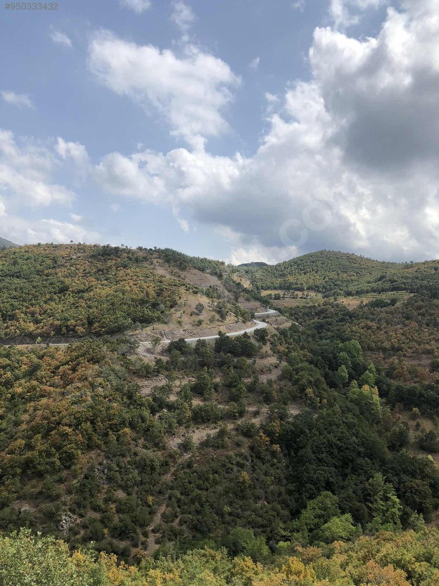 BURSA İZNİK TACİR KÖYÜNDE 5.950 M² TARLA SATILIKTIR - BURSA İZNİK fotoğraf 12
