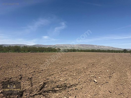 AKÇADAĞ BAHRİ İKİ AYRI TAPULU SATILIK SULU TARLA - MALATYA AKÇADAĞ fotoğraf 12
