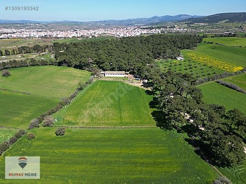Çanakkale Bayramiç Kutluoba Satılık Tarla - ÇANAKKALE BAYRAMİÇ fotoğraf 16