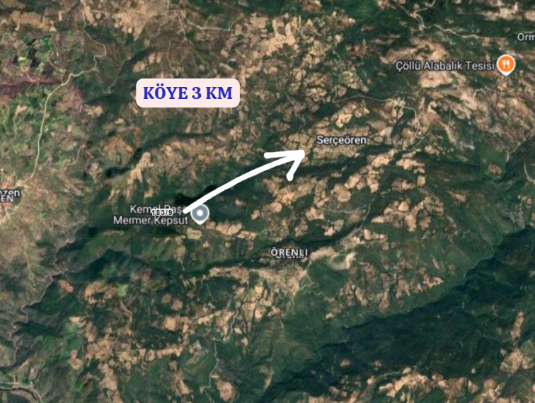 BALIKESİR KEPSUT SERÇEÖREN  KÖYÜNDE 1.304 M² TARLA SATILIKTIR - BALIKESİR KEPSUT fotoğraf 3
