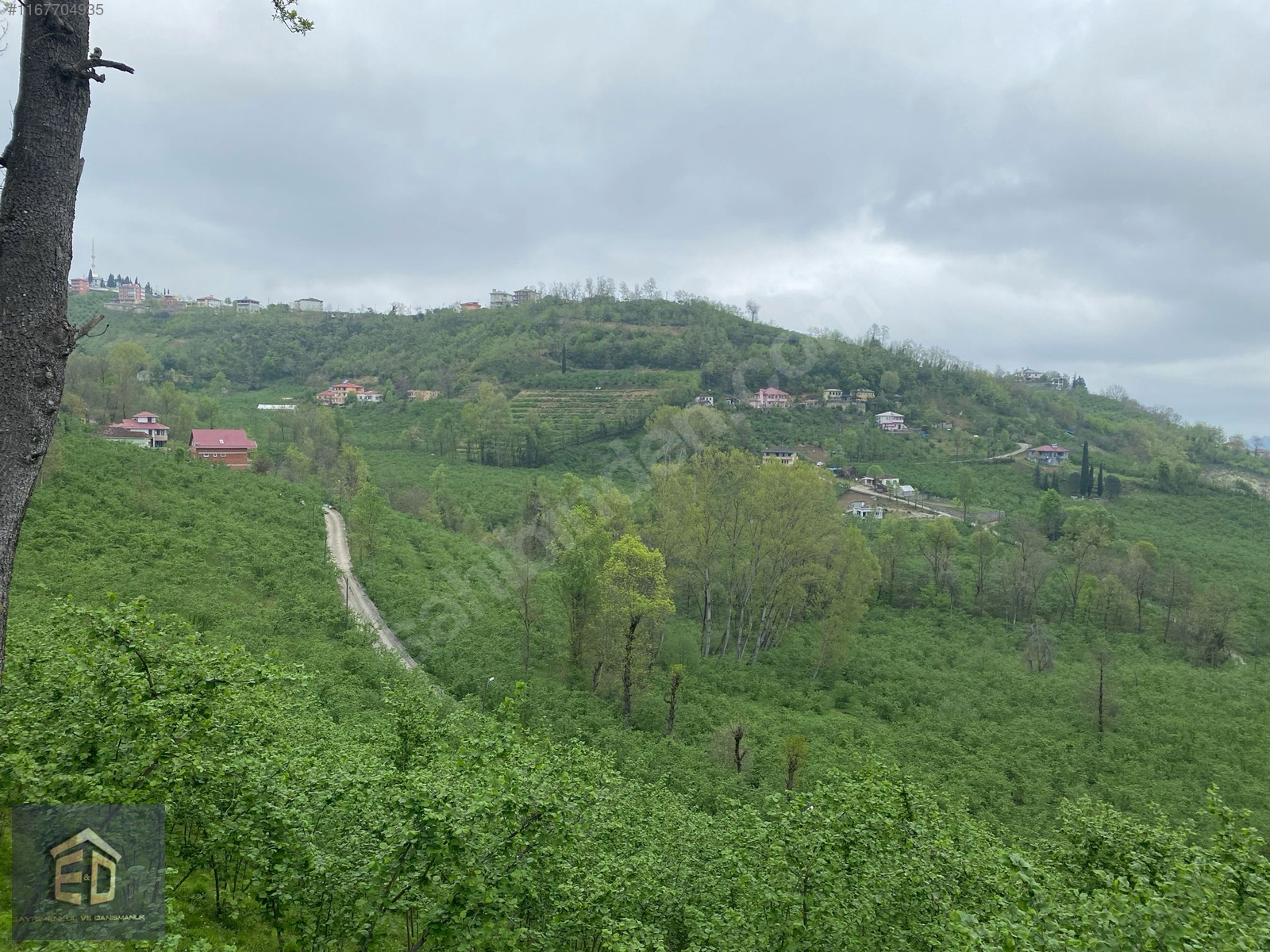 TRABZON AKOLUK'TA SATILIK 2.516M² YATIRIMA UYGUN ARSA - TRABZON ORTAHİSAR fotoğraf 7