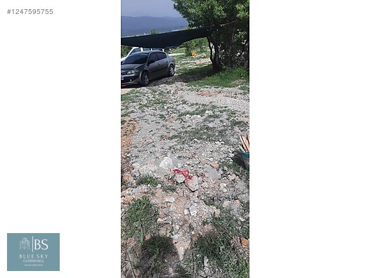 İlan Resmi