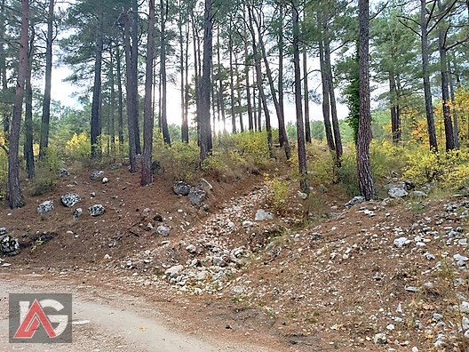 !!! FIRSAT TEKLİF !!! KARACAÖREN MAH. 564m2 ARAZİ UYGUN FİYAT !! - ANTALYA KUMLUCA fotoğraf 4