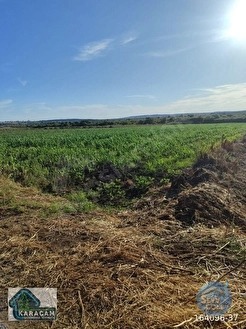 ÇANAKKALE BİGA GERLENGEÇ KÖYÜNDE SATILIK TARLA - ÇANAKKALE BİGA fotoğraf 2