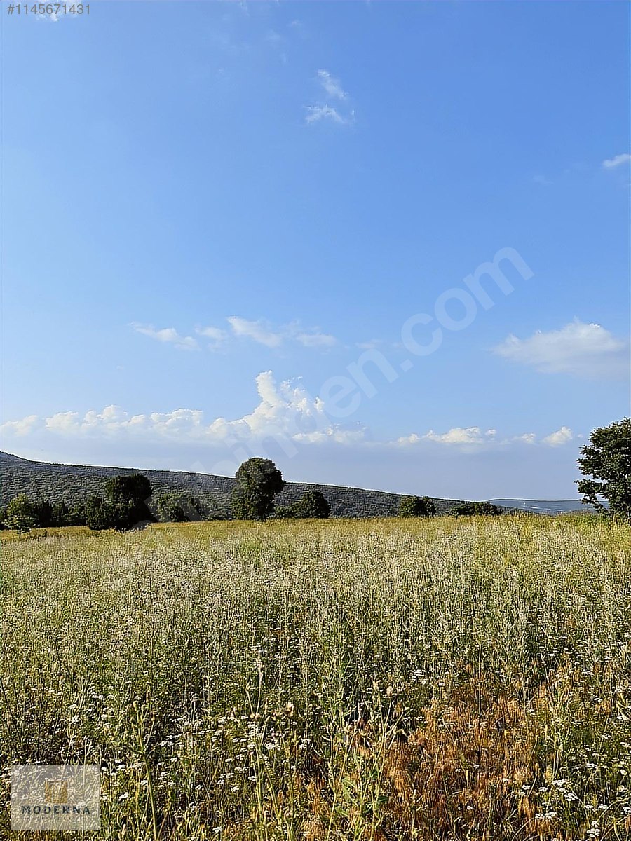 KÜTAHYA MERKEZ KİREÇÇİFLİĞİ MANZARALI 1477 M2 TAM HİSSE TARLA! - KÜTAHYA MERKEZ fotoğraf 10
