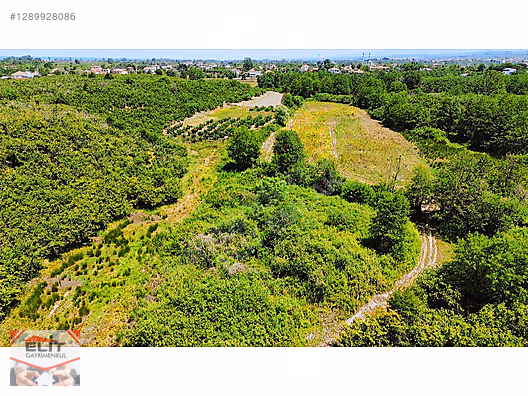 SAKARYA KARASU'DA SATILIK FRSAT KÖY İÇİNDE 635 metre² KUPON ARSA - SAKARYA KARASU fotoğraf 22