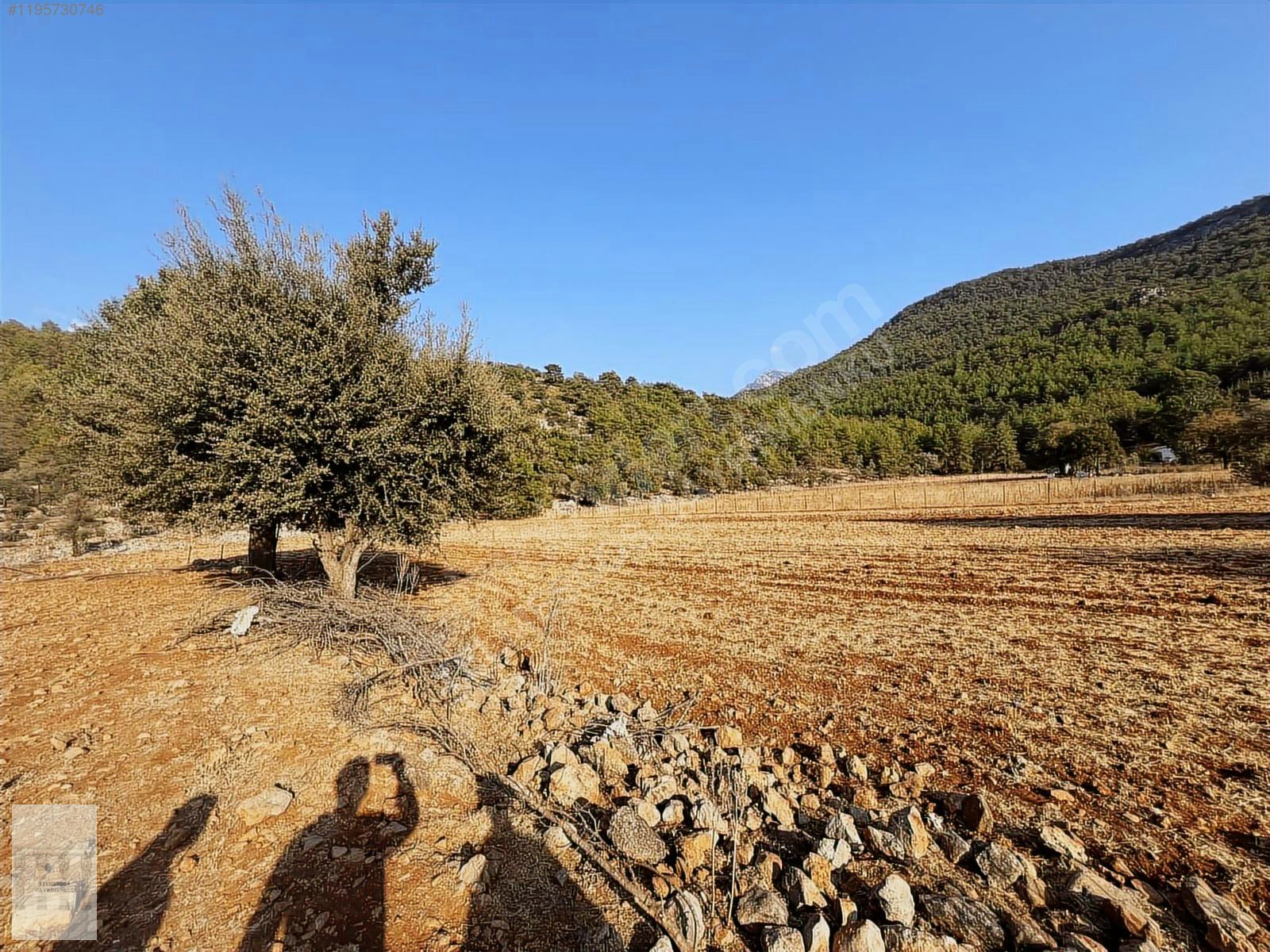 KAYAKÖYDE SATILIK RIZAİ TAKSİMLİ YATIRIMLIK 5300 m2 TARLA - MUĞLA FETHİYE fotoğraf 6