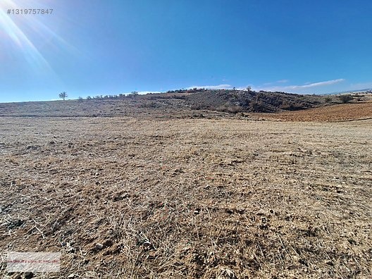 KORKUTELİ BOZOVA DA 19.000 M2 İMARA 220 MT - ANTALYA KORKUTELİ fotoğraf 3