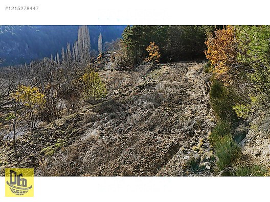 EMECİK 3460m2 YOLA CEPHE ELEKTRİK VE SUYU OLAN CEVİZ BAHÇESİ - DENİZLİ ÇAMELİ fotoğraf 3