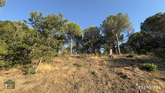 KOZAK YAYLASINDA KARAVELİLER MAH DE 3725 M2 MAH KENARI YAŞAM ALANI - İZMİR BERGAMA fotoğraf 7