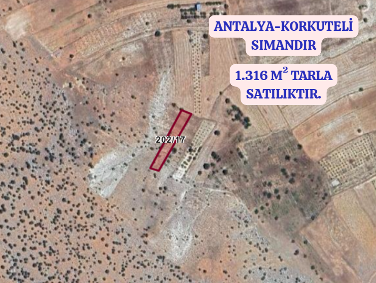 ANTALYA KORKUTELİ SIMANDIR   KÖYÜNDE 1.316  M²  TARLA  SATILIKTIR - ANTALYA KORKUTELİ fotoğraf 2